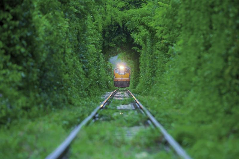 tunnel-of-love