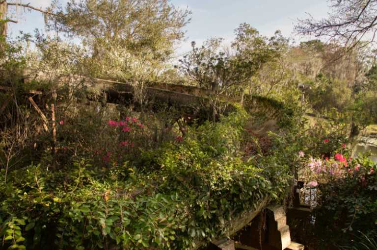 River Country, il parco divertimenti Disney abbandonato da 10 anni
