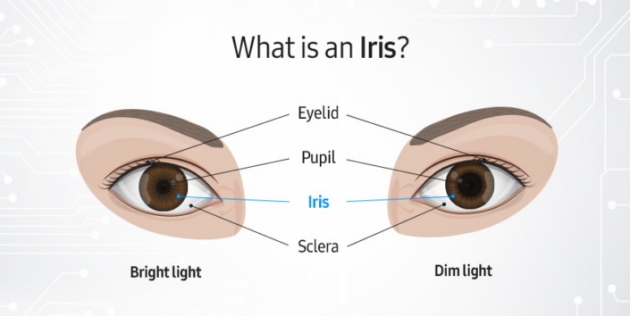 galaxy note 7 iris cam