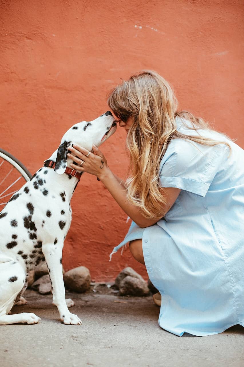 Nomi per cani ispirati al mondo-Disney