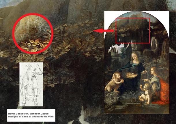 Leonardo da Vinci scoperta cane