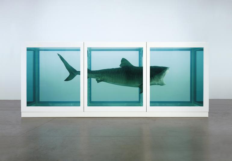 The Physical Impossibility of Death in the Mind of Someone Living Damien Hirst