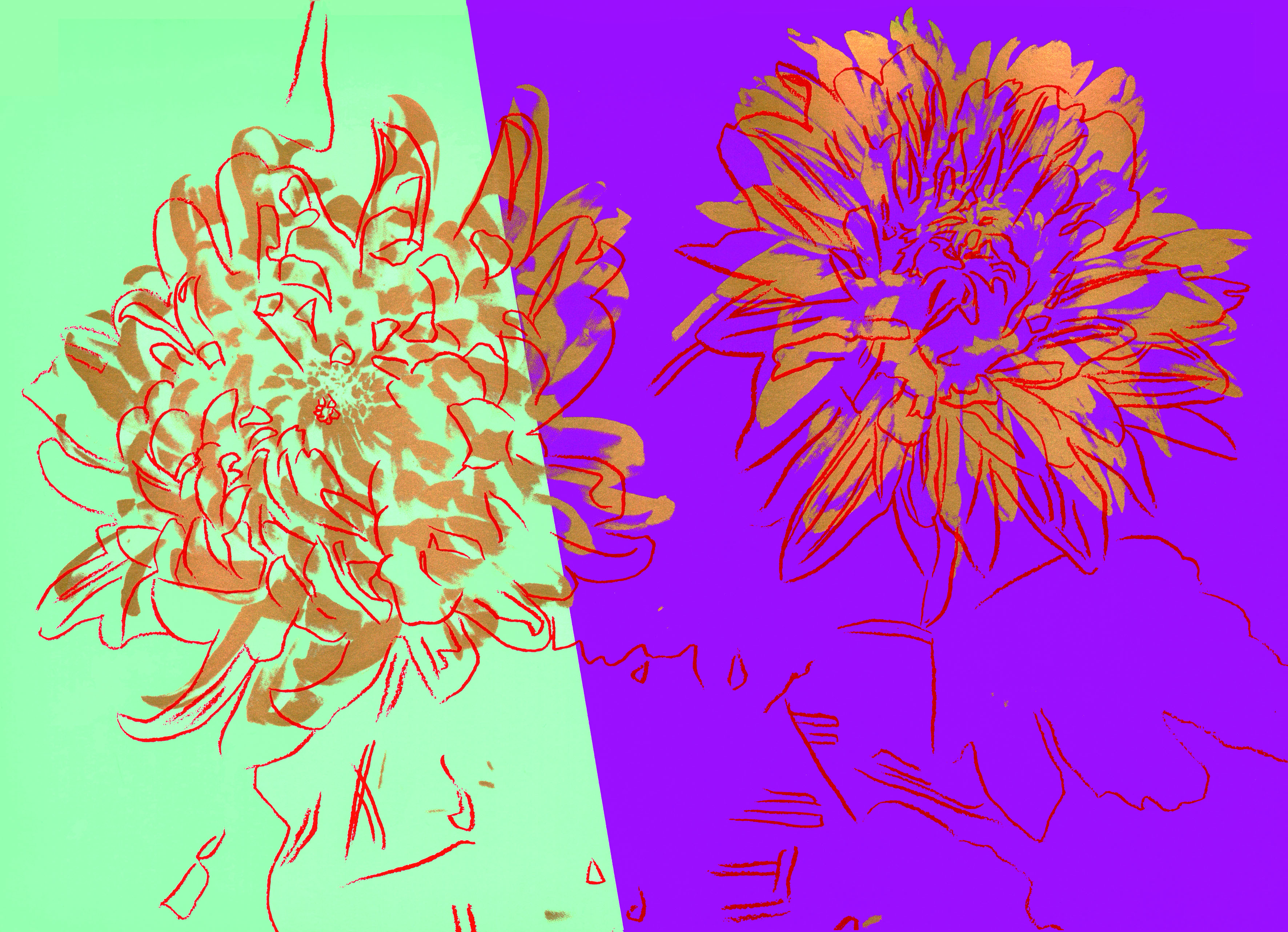 Andy Warhol D'Auria Firenze