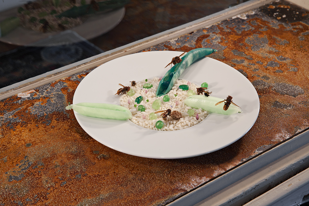 Lucia Leuci mostra Milano