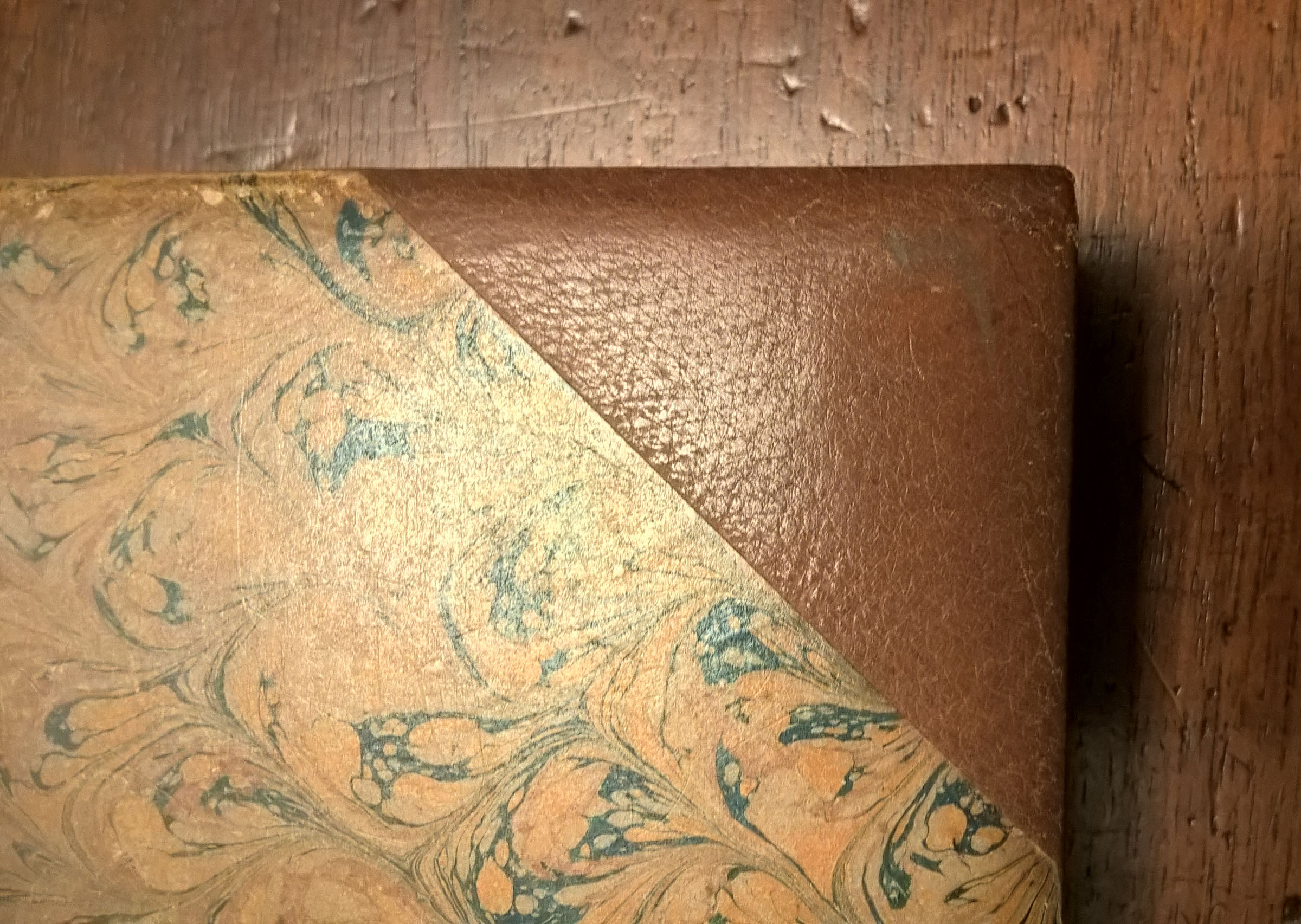 Pinacoteca Ambrosiana libro