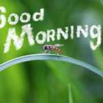 immagini buongiorno