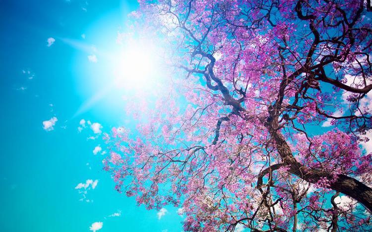 equinozio di primavera equinozio di primavera
