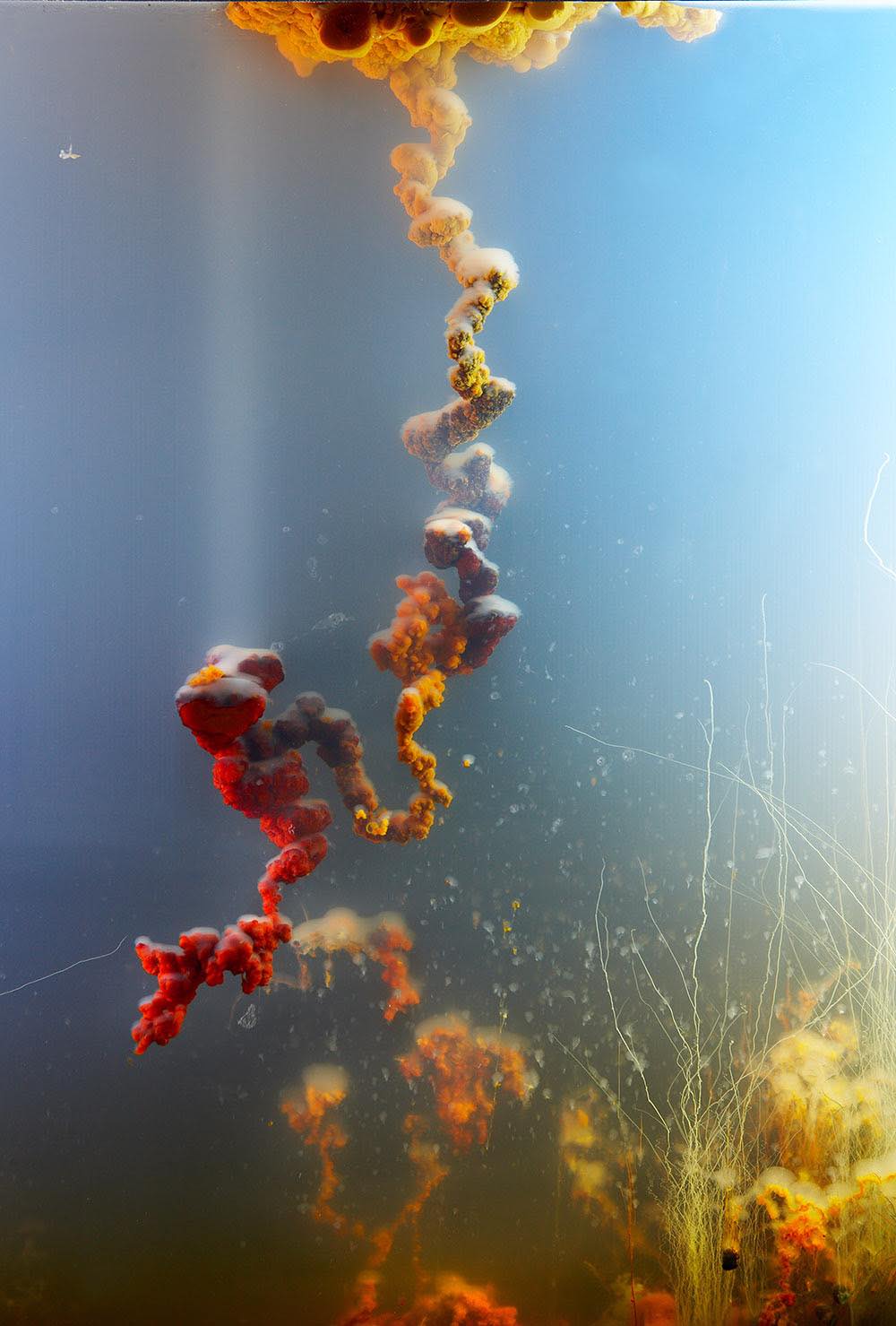 Teatrino di Palazzo Grassi- Hicham Berrada - Presage