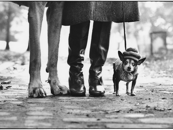 Elliot Erwitt mostra MUDEC MIlano