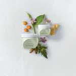 Aveda