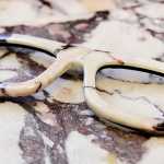 Busoli Eyewear