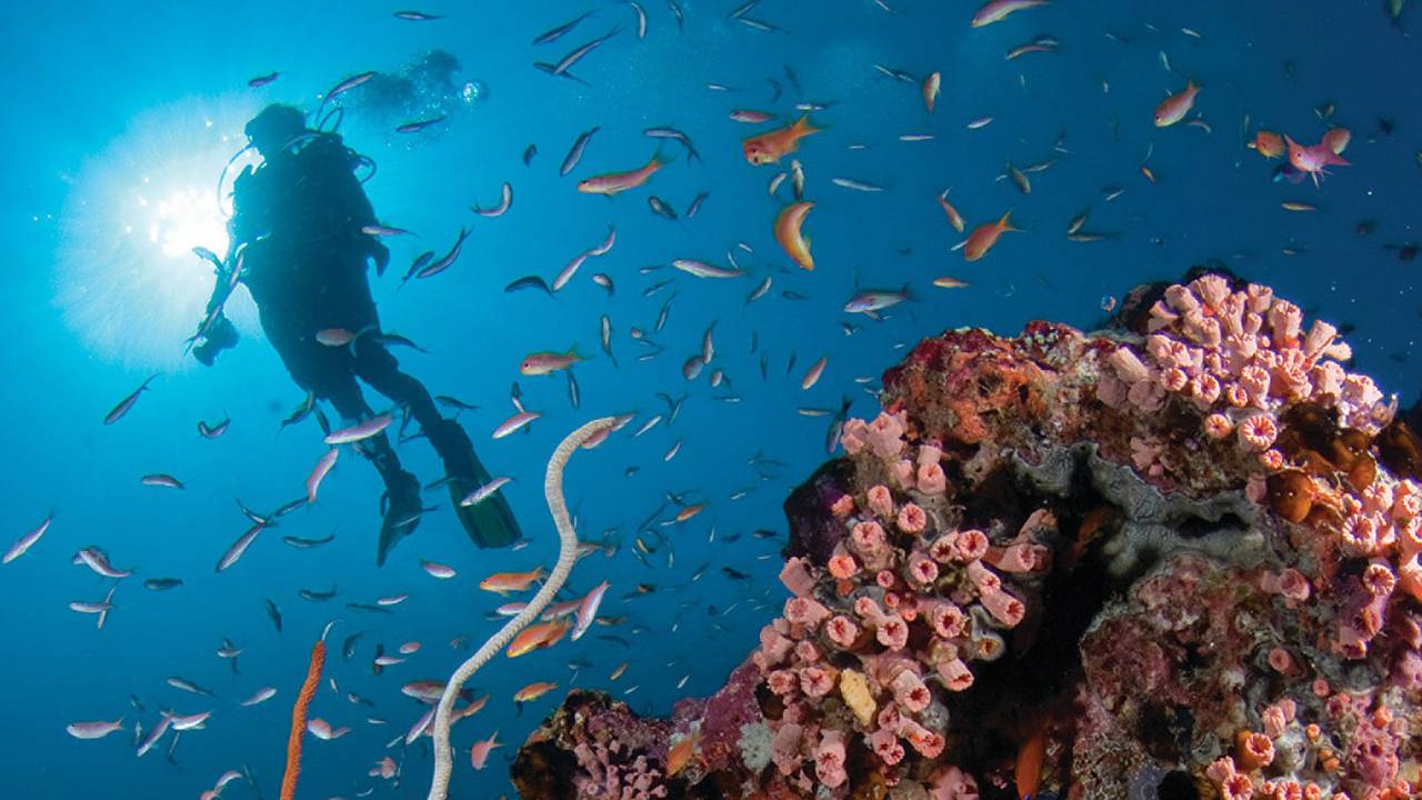 Four Seasons Explorer