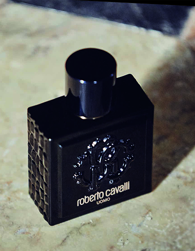 Roberto Cavalli UOMO