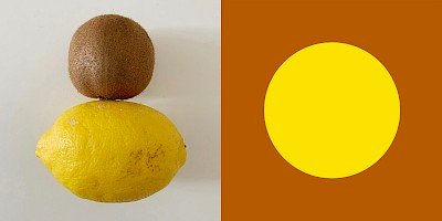 Palazzo Grassi laboratori per tutt