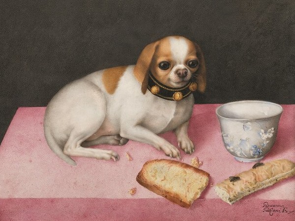 Giovanna Garzoni Mostra Palzzo Pitti