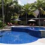 Paradise Sun