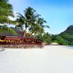 Paradise Sun