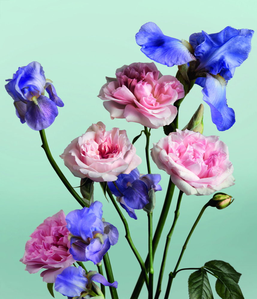 La Crème Main Chanel