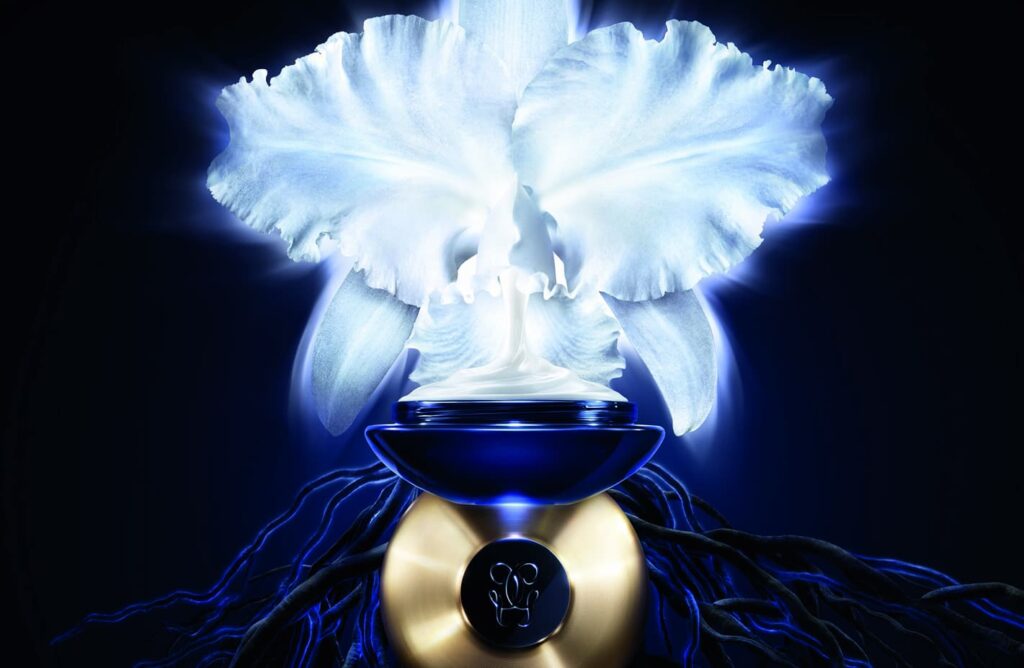Orchidée Impériale