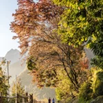 A Tirolo, gli scenari creati dalla natura sono incredibili nelle settimane dell’Indian Summer, tra la metà di ottobre e quella di novembre.