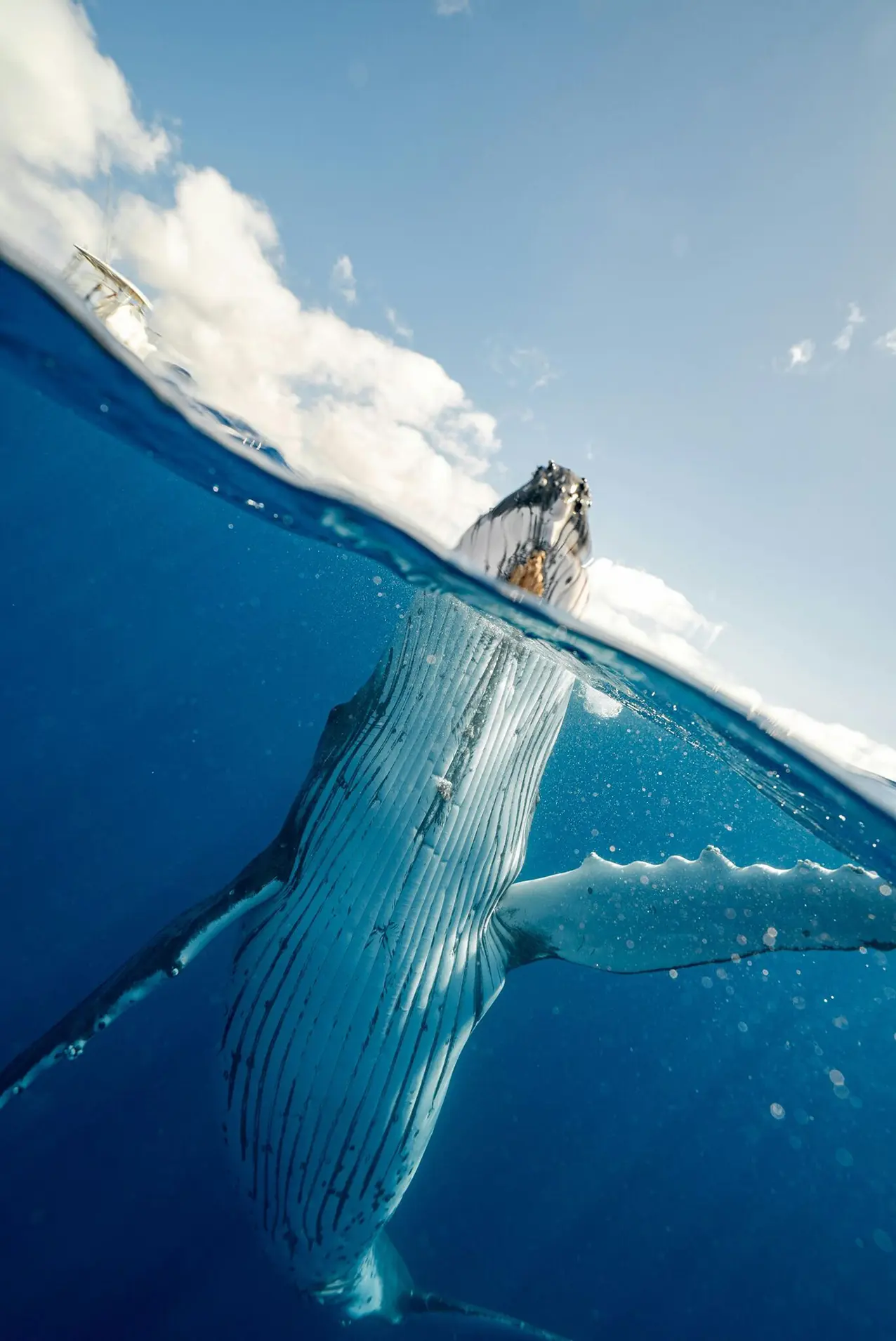 ACT FOR OCEANS, PROTECT BEAUTY Shiseido per il mare